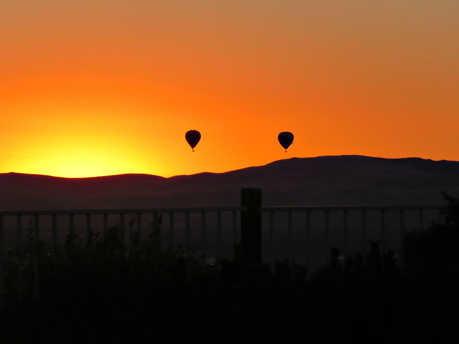 Great Reno Balloon Race