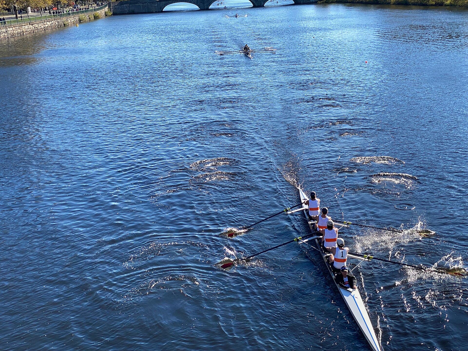 Head of the Charles Regatta