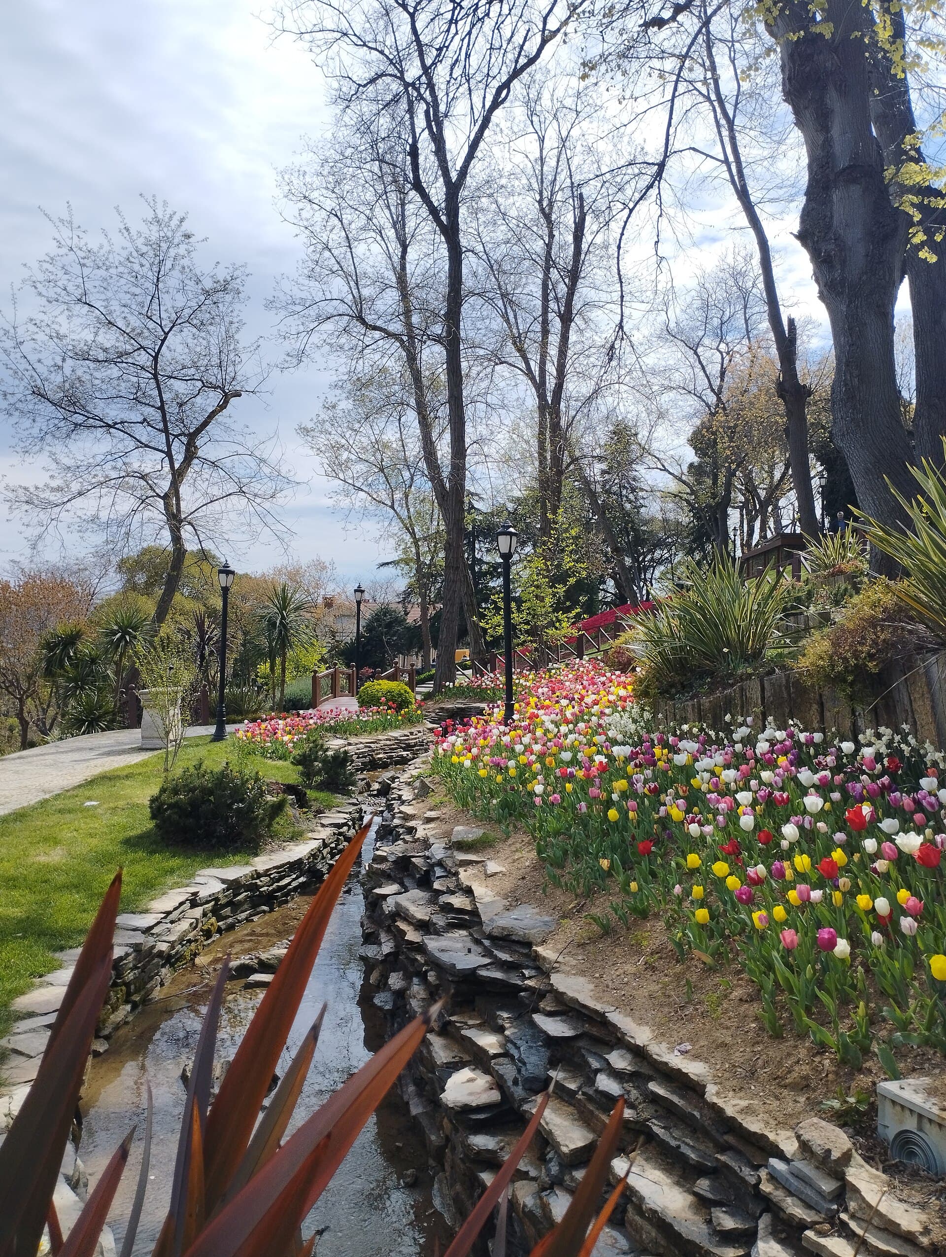 Istanbul Tulip Festival