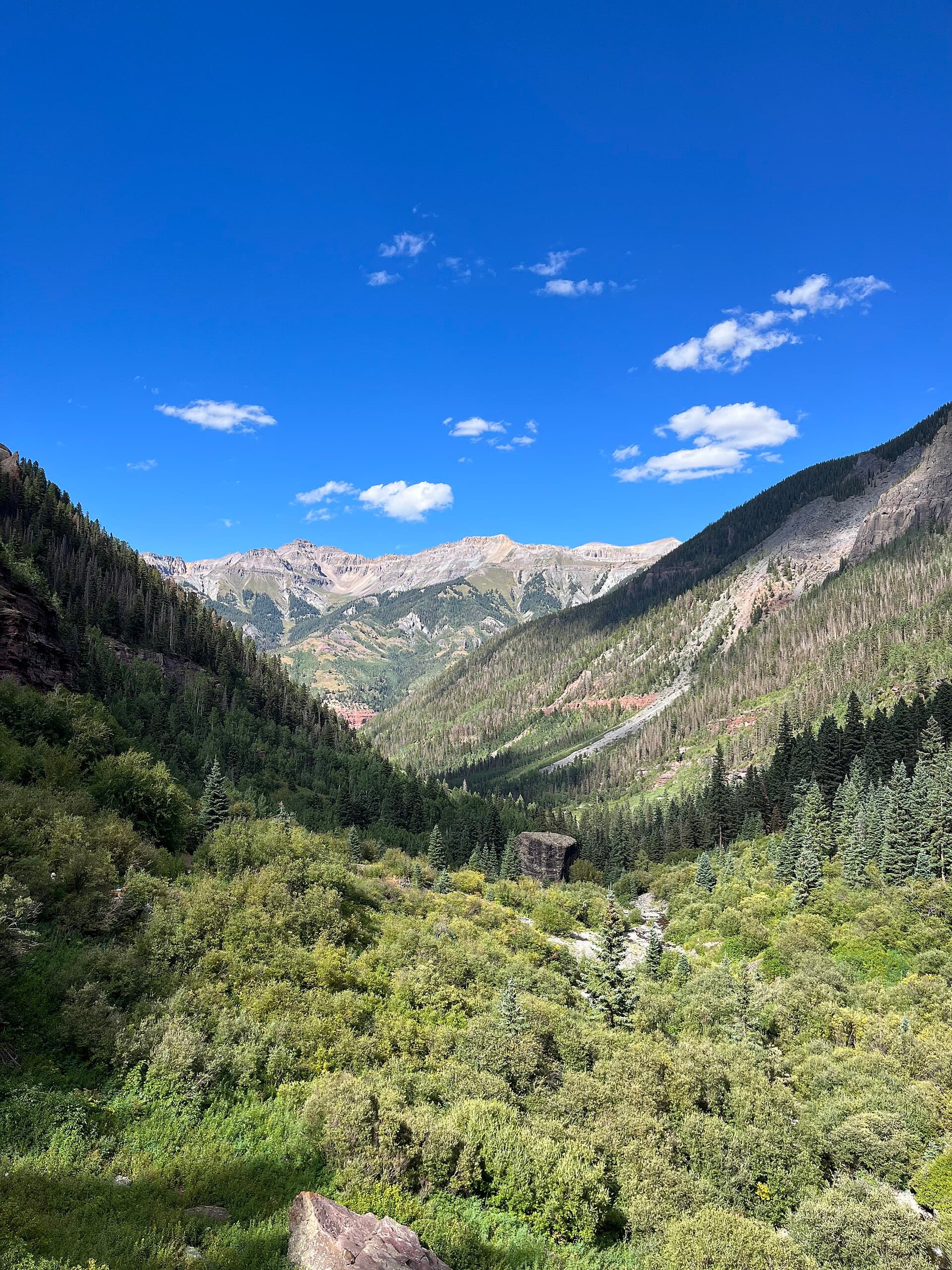 Telluride Film Festival